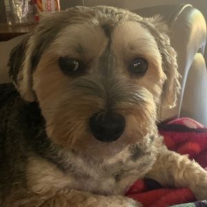 Meet your Posher, Kylee